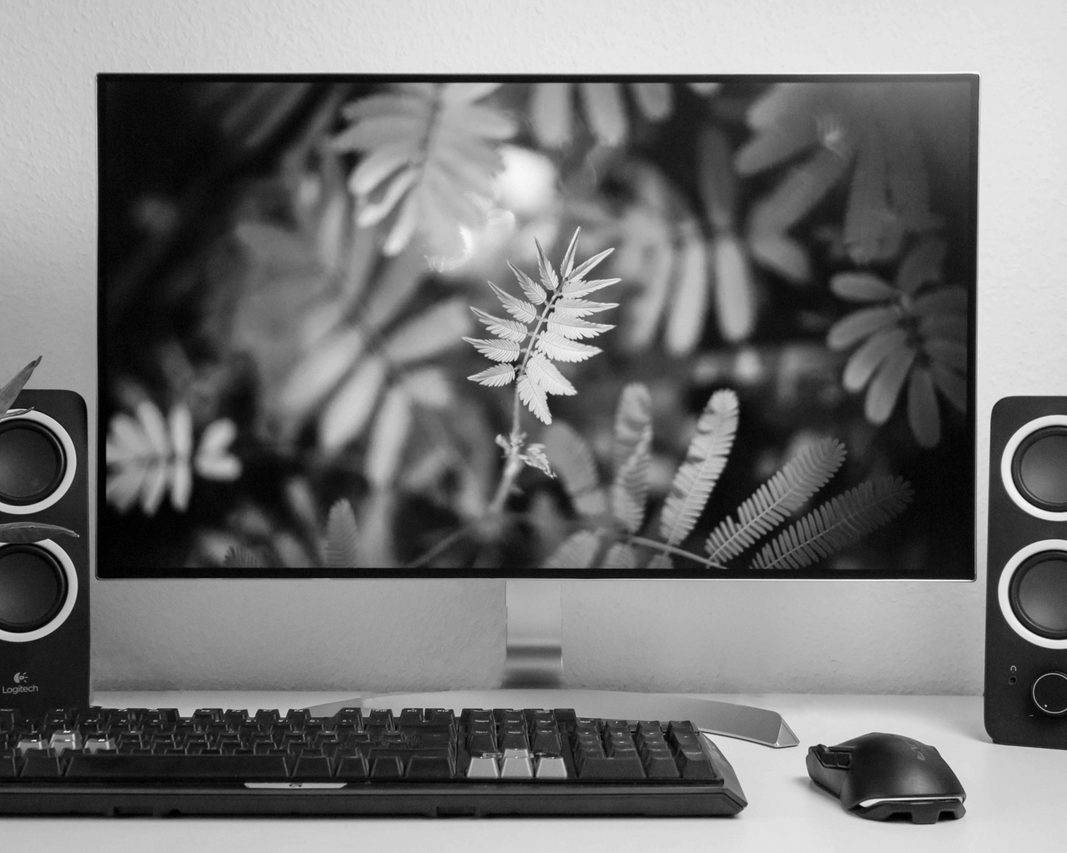 turned-on flat screen computer monitor with speakers and keyboard